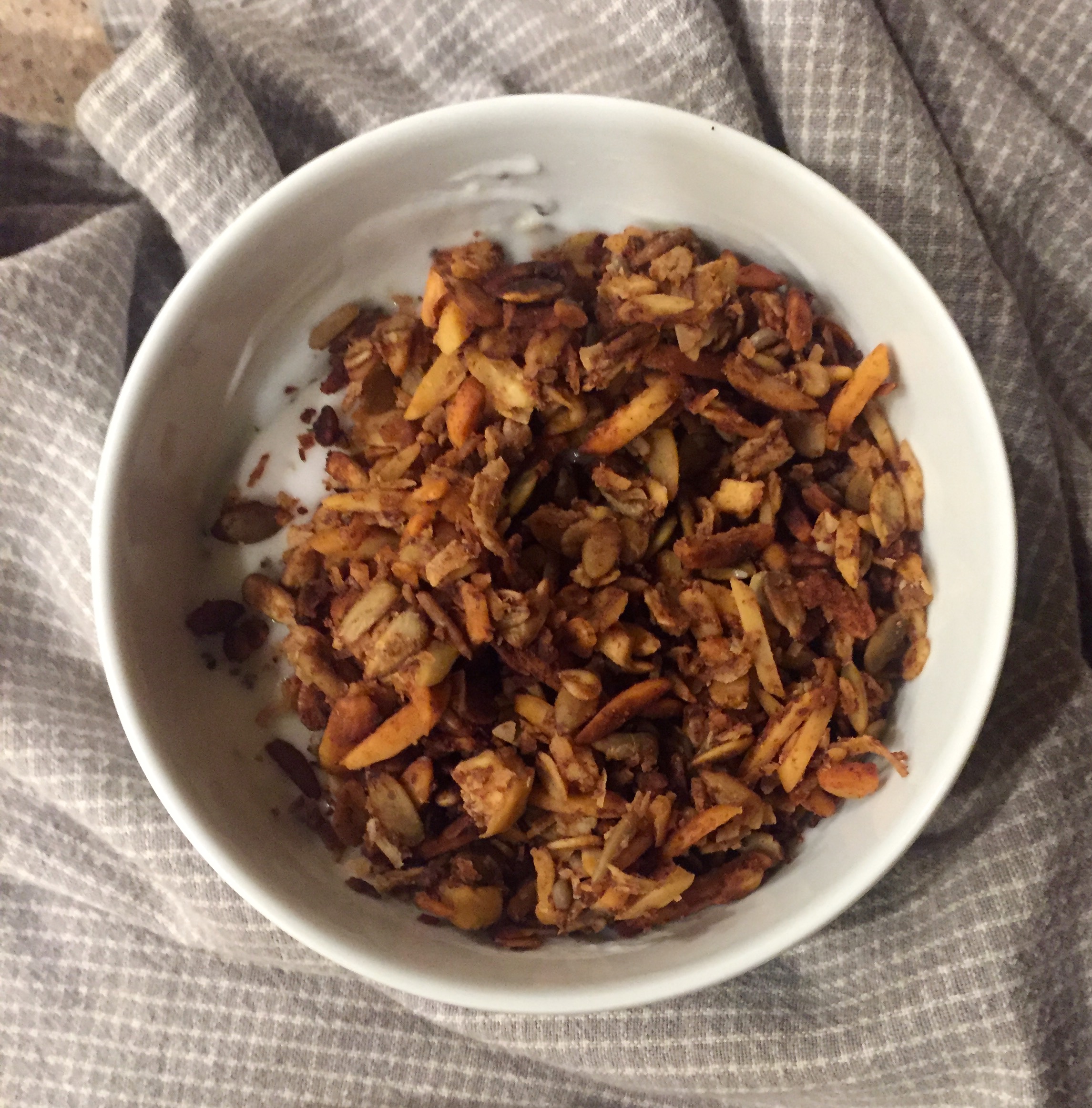 Candida-friendly bowl of apple cinnamon granola